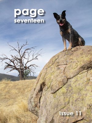 Page seventeen - ebook